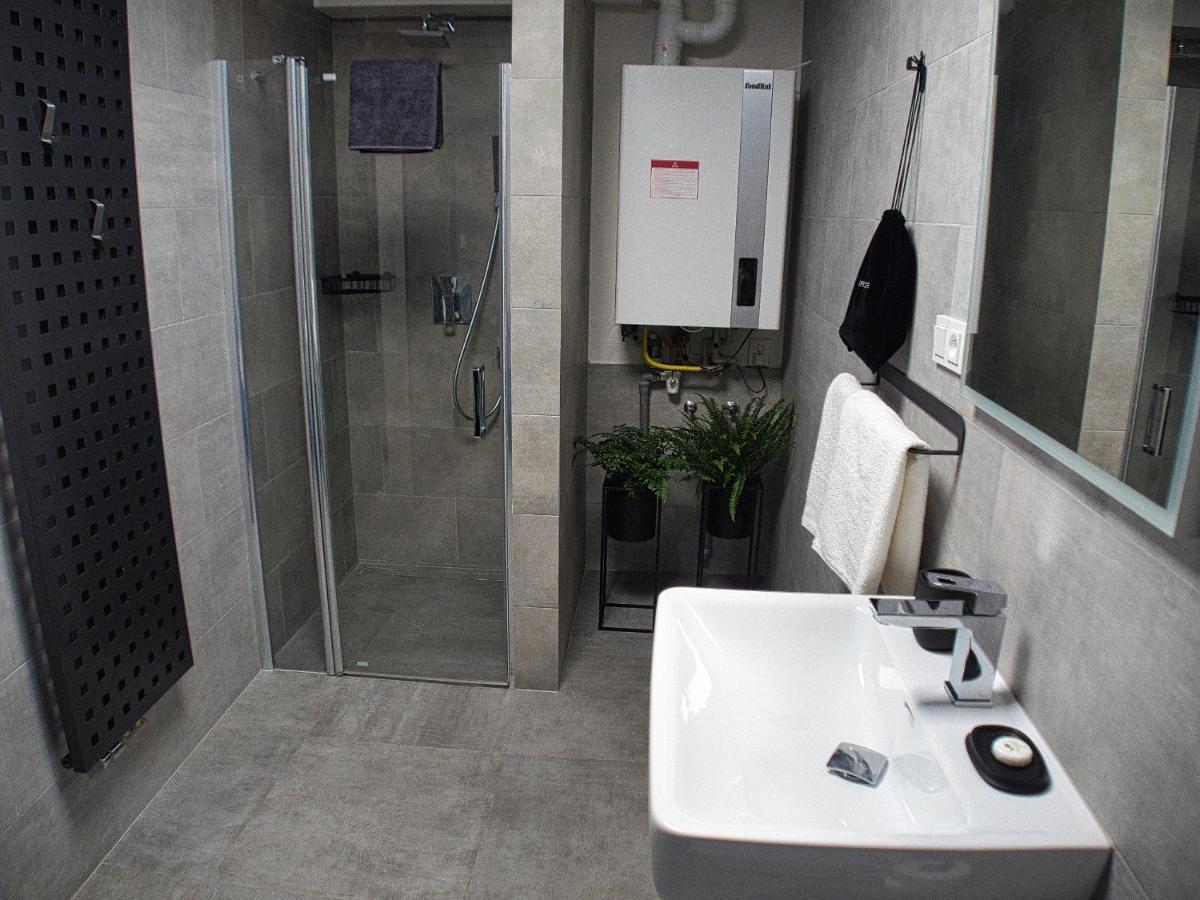 Wellness Gallery Apartments リベレツ エクステリア 写真